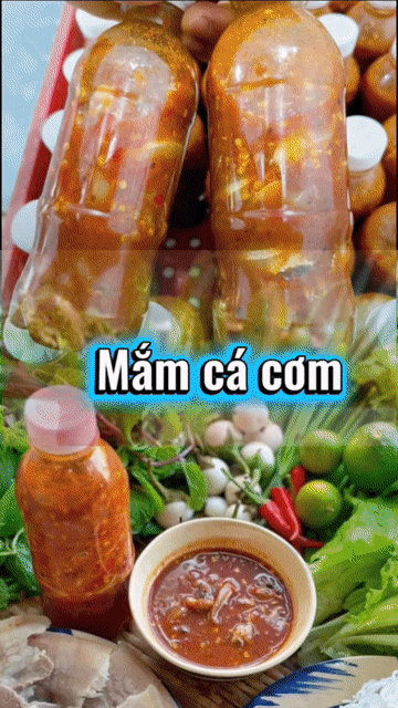 Hải sản Phú Yên tươi ngon. Mua bán Đồ ăn, thực phẩm và các loại khác tại Quận Tân Phú Tp Hồ Chí Minh được đăng bởi Hải Sản Phú Yên hình 1