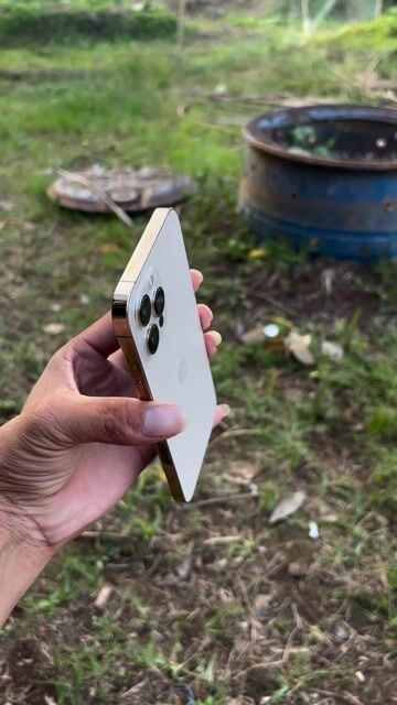 iPhone 12Pro Max Vàng Gold 128G Đẹp keng. Mua bán Điện thoại tại Thành phố Vị Thanh Hậu Giang được đăng bởi Duy hình 1