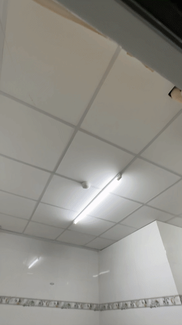 Cho thuê Phòng trọ Quận Tân Bình Tp Hồ Chí Minh diện tích 15 m² giá 3,2 triệu/tháng