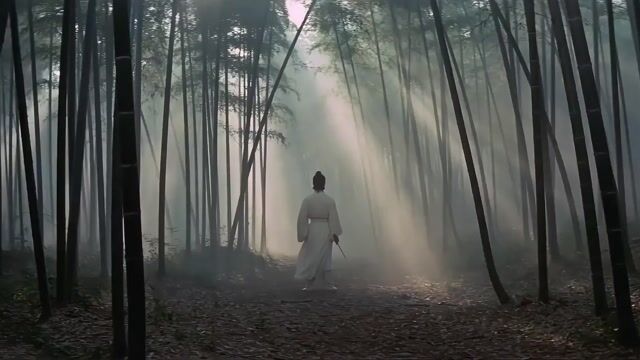 King Hu Style Wuxia Film Aesthetic Video Prompt