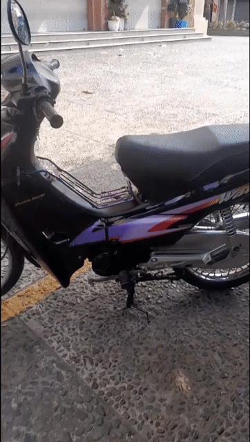 Honda Wave 50cc zin Hq đen số tphcm. Mua bán Xe máy tại Quận Bình Tân Tp Hồ Chí Minh được đăng bởi  lyly hình 1