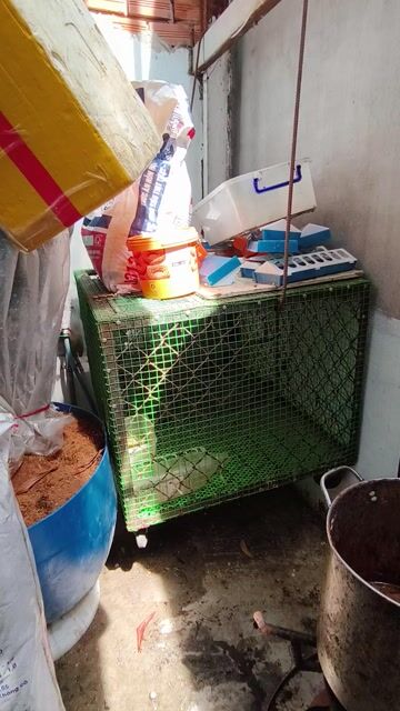 Chuồng vật nuôi Lưới thép 2 ngăn. Mua bán Phụ kiện, Thức ăn, Dịch vụ tại Quận Bình Thạnh Tp Hồ Chí Minh được đăng bởi vinh  hình 1