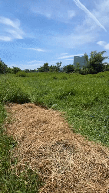 Mua bán Đất Huyện Duy Xuyên Quảng Nam diện tích 620 m² giá 300 triệu