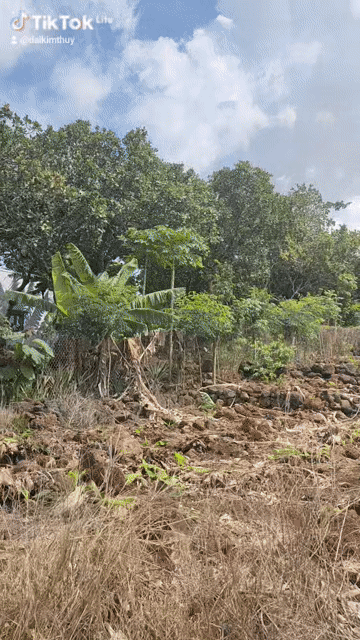 Mua bán Đất Huyện Định Quán Đồng Nai diện tích 2028 m² giá 1,4 tỷ
