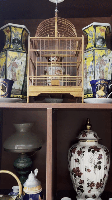 Lồng chim khuyên mái vòm giá trị sưu tầm cao. Mua bán Phụ kiện, Thức ăn, Dịch vụ tại Quận 3 Tp Hồ Chí Minh được đăng bởi Nguyễn Anh Sang hình 1