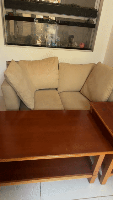 Bộ Sofa nệm bàn Gỗ thật Mỹ màu Kem. Mua bán Bàn ghế tại Huyện Bình Chánh Tp Hồ Chí Minh được đăng bởi Anh Châu hình 1