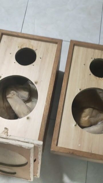 Vỏ thùng loa gỗ toàn dải 20cm đẹp. Mua bán Tivi, Âm thanh tại Quận 12 Tp Hồ Chí Minh được đăng bởi CASSETL  hình 1