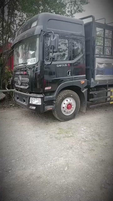 Dongfeng - D11/D12 (2024)