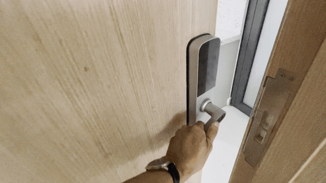 Cho thuê Căn hộ Chung cư Topaz Twins Thành phố Biên Hòa Đồng Nai diện tích 47 m² giá 8 triệu/tháng