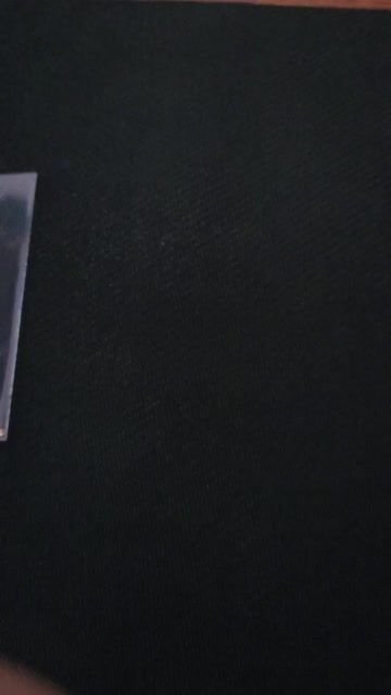 PSA10〕[M-P] Quaxly 019/M-P〈P〉