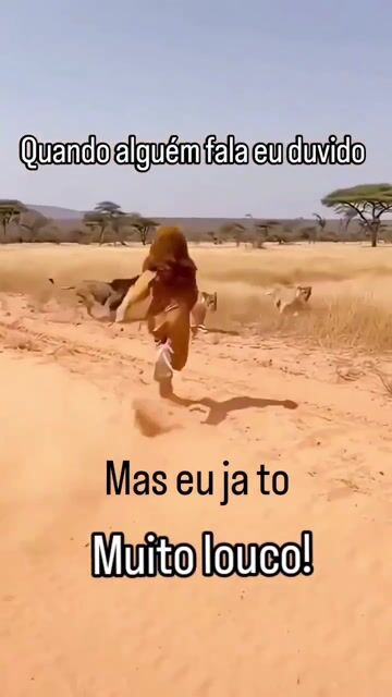 Louco