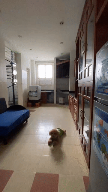Cho thuê Căn hộ Chung cư Quận Bình Thạnh Tp Hồ Chí Minh diện tích 65 m² giá 7,5 triệu/tháng