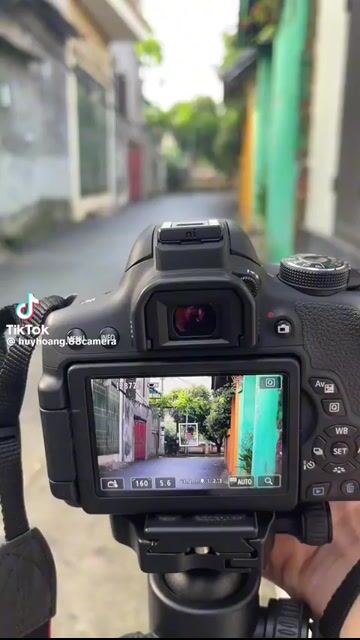 Ống kính Canon EF-S 55-250mm IS II. Mua bán Máy ảnh, Máy quay tại Quận Bình Tân Tp Hồ Chí Minh được đăng bởi Huy hình 1