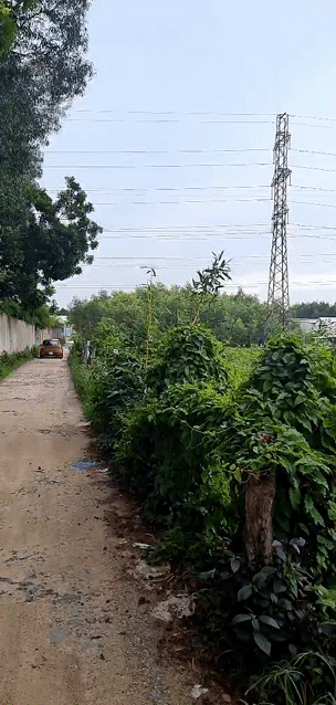 Mua bán Đất Huyện Long Thành Đồng Nai diện tích 4762 m² giá 13,888 tỷ