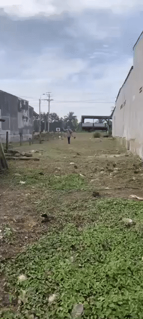 Mua bán Đất Huyện Chợ Lách Bến Tre diện tích 1400 m² giá 9,5 tỷ