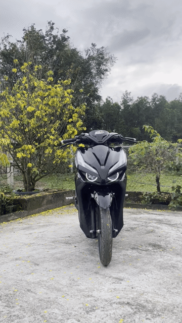 Honda Vario 125. Mua bán Xe máy tại Quận Sơn Trà Đà Nẵng được đăng bởi sao bo hình 1