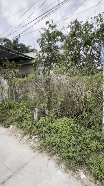 Mua bán Đất Thành phố Tân An Long An diện tích 129.6 m² giá 1,18 tỷ