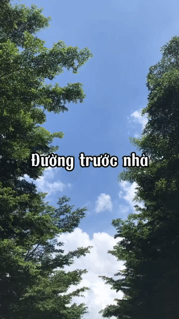 Cho thuê Nhà ở Thành phố Thuận An Bình Dương diện tích 115.6996 m² giá 12 triệu/tháng