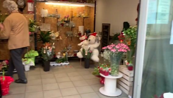 Une fleur nommée pervenche