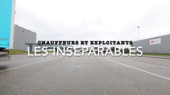Les inséparables