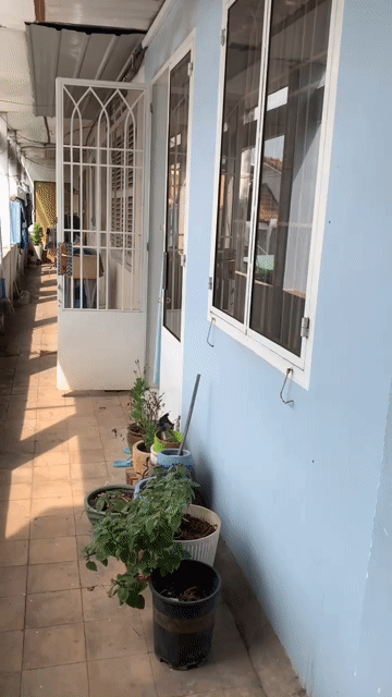 Mua bán Căn hộ Chung cư Thành phố Biên Hòa Đồng Nai diện tích 22 m² giá 450 triệu
