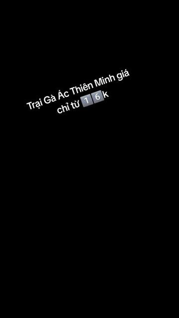 Trại Gà Ác bán giá sỉ, lẻ cạnh tranh,vacxin đầy đủ. Mua bán Đồ chuyên dụng, Giống nuôi trồng tại Huyện Châu Thành Tây Ninh được đăng bởi Trần Thiên Minh hình 1