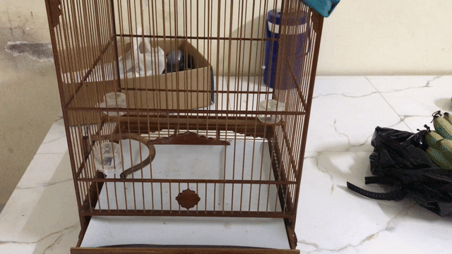 Lồng chim gỗ tự nhiên. Mua bán Phụ kiện, Thức ăn, Dịch vụ tại Huyện Kế Sách Sóc Trăng được đăng bởi Trương Văn Trường hình 1