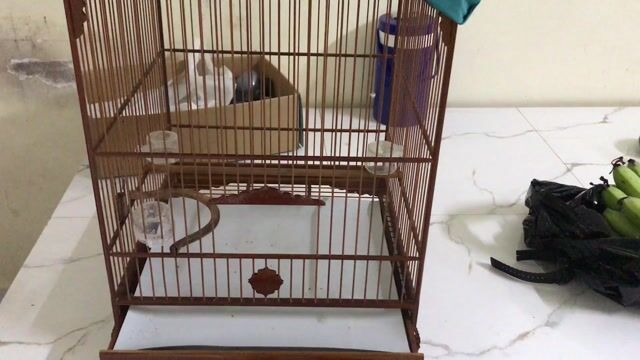 Lồng chim gỗ tự nhiên. Mua bán Phụ kiện, Thức ăn, Dịch vụ tại Huyện Kế Sách Sóc Trăng được đăng bởi Trương Văn Trường hình 1