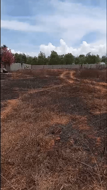 Cho thuê Đất Thành phố Phan Thiết Bình Thuận diện tích 4000 m² giá 5 triệu/tháng