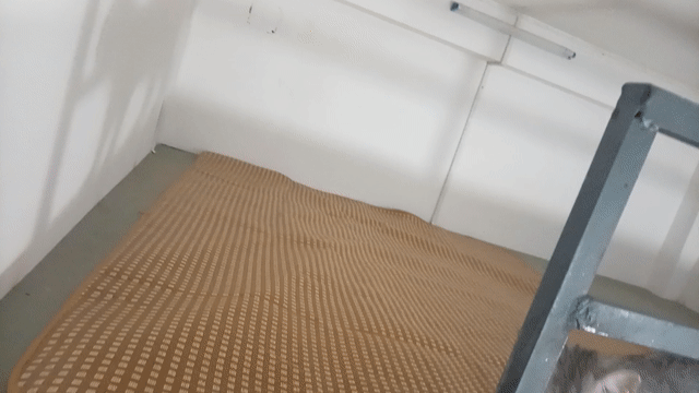 Cho thuê Phòng trọ Quận Tân Phú Tp Hồ Chí Minh diện tích 20 m² giá 1,5 triệu/tháng