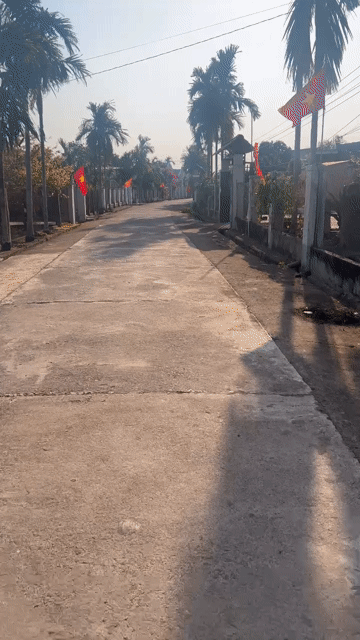 Mua bán Đất Huyện Krông Pắc Đắk Lắk diện tích 290 m² giá 650 triệu
