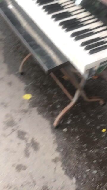 Đàn organ Đầy đủ, không hư. Mua bán Nhạc cụ tại Quận 3 Tp Hồ Chí Minh được đăng bởi HoVaTen  Nghèo mua gì đt XinCamOn hình 1