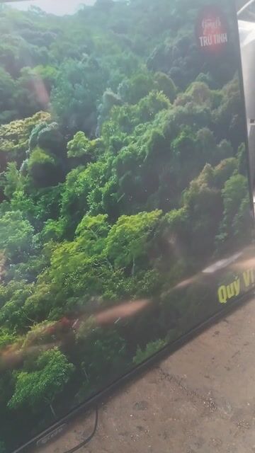 Tivi 55 inch Đã sử dụng. Mua bán Tivi, Âm thanh tại Thành phố Thủ Đức Tp Hồ Chí Minh được đăng bởi Trần Quang huy hình 1