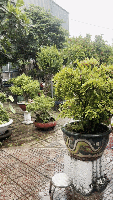 Mua bán Nhà ở Thành phố Bà Rịa Bà Rịa - Vũng Tàu diện tích 1404 m² giá 55 tỷ