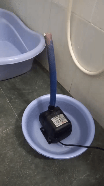 Máy bơm hồ cá Lifetech AP3500 Đen cũ. Mua bán Phụ kiện, Thức ăn, Dịch vụ tại Quận Liên Chiểu Đà Nẵng được đăng bởi Hieu Tran hình 1