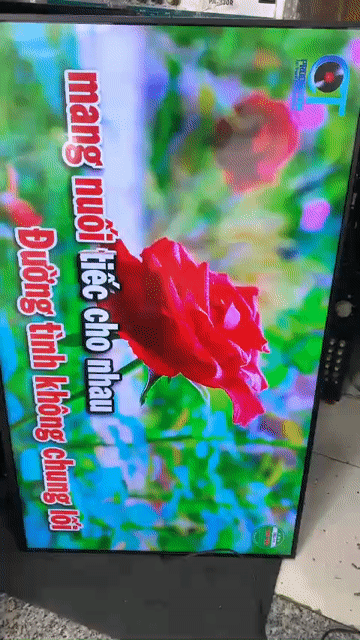 Tivi Sony 43X8300C 4K Wifi. Mua bán Tivi, Âm thanh tại Quận Tân Bình Tp Hồ Chí Minh được đăng bởi Ngocc ve chai mua ban đt trực tiếp  hình 1