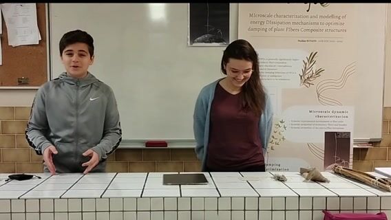 Les "SEGPA" et la Chercheuse