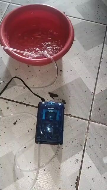 Máy bơm oxy Vipsun Fish VS-348A Xanh. Mua bán Phụ kiện, Thức ăn, Dịch vụ tại Thị xã Tân Uyên Bình Dương được đăng bởi ANHTACO  hình 1