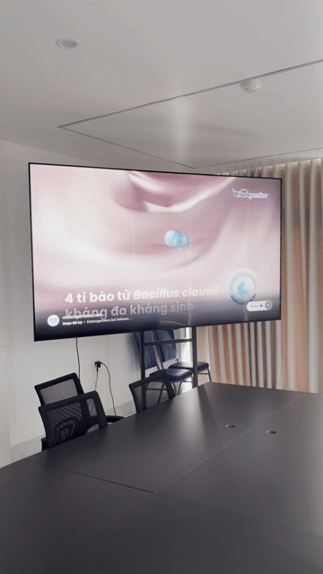 tivi tcl 98inch 8k. Mua bán Tivi, Âm thanh tại Thành phố Thái Bình Thái Bình được đăng bởi tu vu hình 1