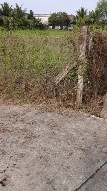 Mua bán Đất Thành phố Tân An Long An diện tích 1000 m² giá 3,3 tỷ
