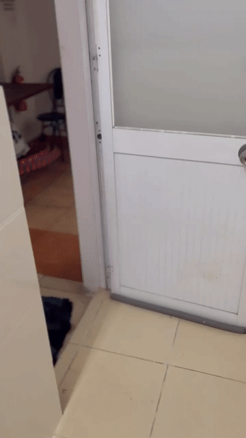 Cho thuê Phòng trọ Quận Tân Bình Tp Hồ Chí Minh diện tích 16 m² giá 2,3 triệu/tháng