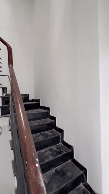 Cho thuê Căn hộ Chung cư Quận Tân Bình Tp Hồ Chí Minh diện tích 28 m² giá 4,5 triệu/tháng