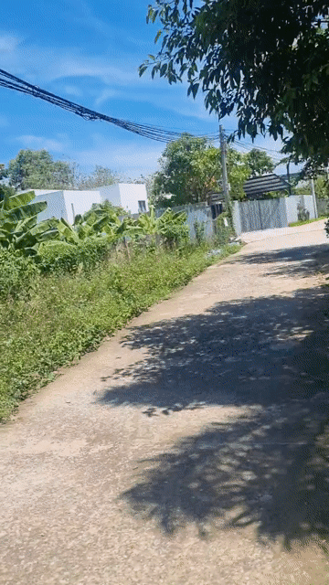 Mua bán Đất Huyện Định Quán Đồng Nai diện tích 2000 m² giá 2,5 tỷ
