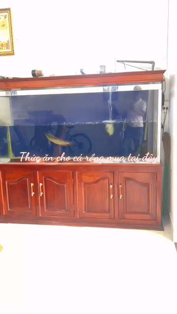 Bể cá cảnh Kính Gỗ Nâu 1.8m. Mua bán Phụ kiện, Thức ăn, Dịch vụ tại Huyện Hóc Môn Tp Hồ Chí Minh được đăng bởi An Tường hình 1