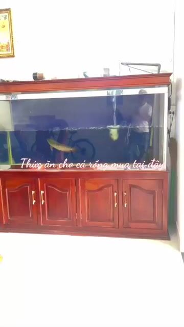 Bể cá cảnh Kính Gỗ Nâu 1.8m. Mua bán Phụ kiện, Thức ăn, Dịch vụ tại Huyện Hóc Môn Tp Hồ Chí Minh được đăng bởi An Tường hình 1