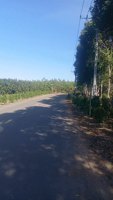 Mua bán Đất Huyện Phú Giáo Bình Dương diện tích 26000 m² giá 34 tỷ