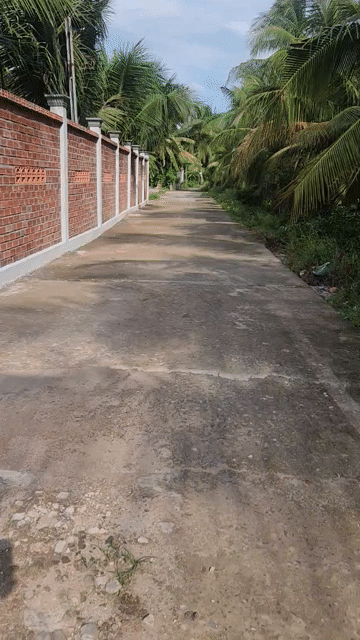 Mua bán Nhà ở Thành phố Bến Tre Bến Tre diện tích 1200 m² giá 2,75 tỷ
