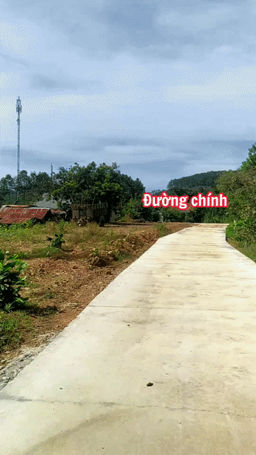 Mua bán Đất Huyện Cát Tiên Lâm Đồng diện tích 4000 m² giá 2 tỷ