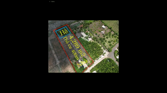 Mua bán Đất Huyện Buôn Đôn Đắk Lắk diện tích 4289 m² giá 2,6 tỷ