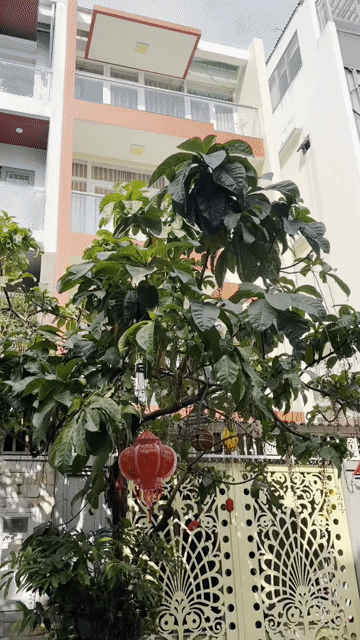 Mua bán Nhà ở Quận 6 Tp Hồ Chí Minh diện tích 115 m² giá 19 tỷ